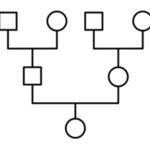 GénoTwit : Parlons des maladies génétiques